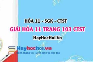 Giải Hóa 11 Chân trời sáng tạo trang 103